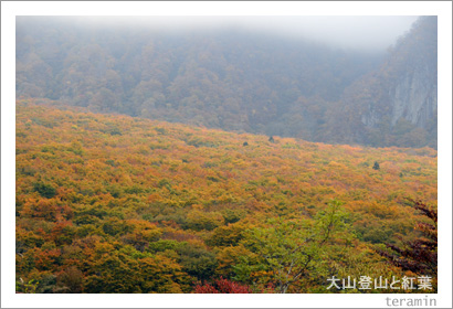 大山登山と紅葉1