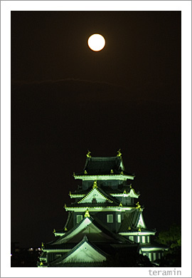 ��Ȳ�����1