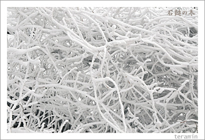 ���ʤ���6