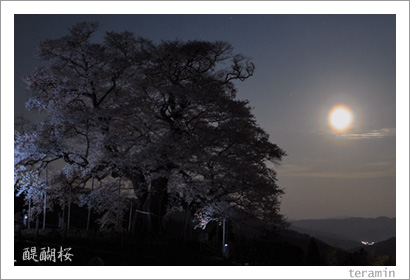 �������̿�2009_2