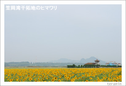 �޲������ϤΥҥޥ�ꡡ�̿�1