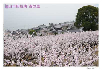 �Ŀ��ΰɡ��̿���