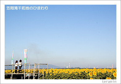 �޲��Ѵ����ϤΤҤޤ��2