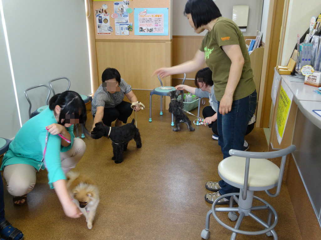 ーパーティ 板谷先生