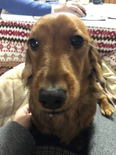 E236A754-77B1-4BAF-B7D6-A4DC74E623BD