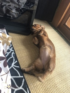 FCD5AF65-954E-4109-BB22-870E1C230EF5