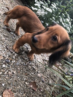 72CC6FB5-79AE-48C5-8ED9-F11012A89CF1