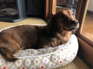 71747BA9-53E1-4F72-AAC1-5743793871DB