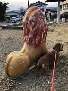 67AF42AF-C450-4B6B-A9A0-5759BC3C5E76