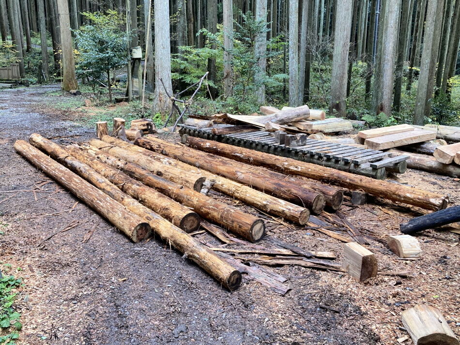 レア物♪貝塚伊吹(カイズカイブキ) えらう 
