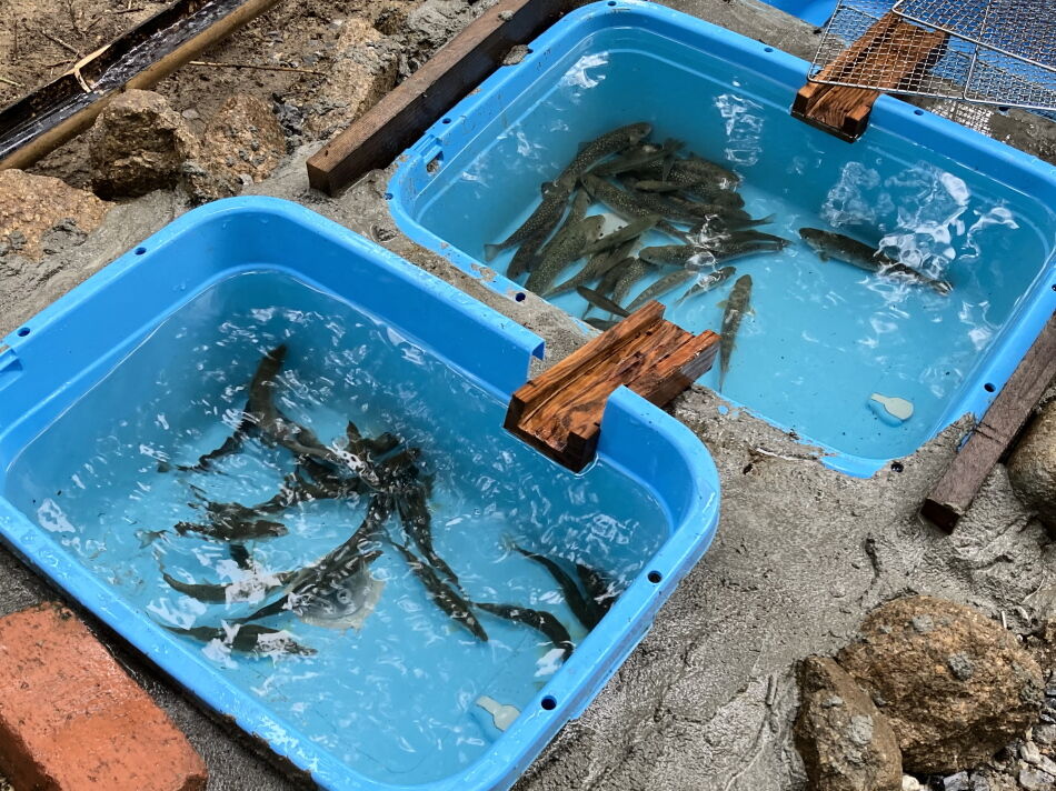 水を全部抜く大作戦 Teraのページ