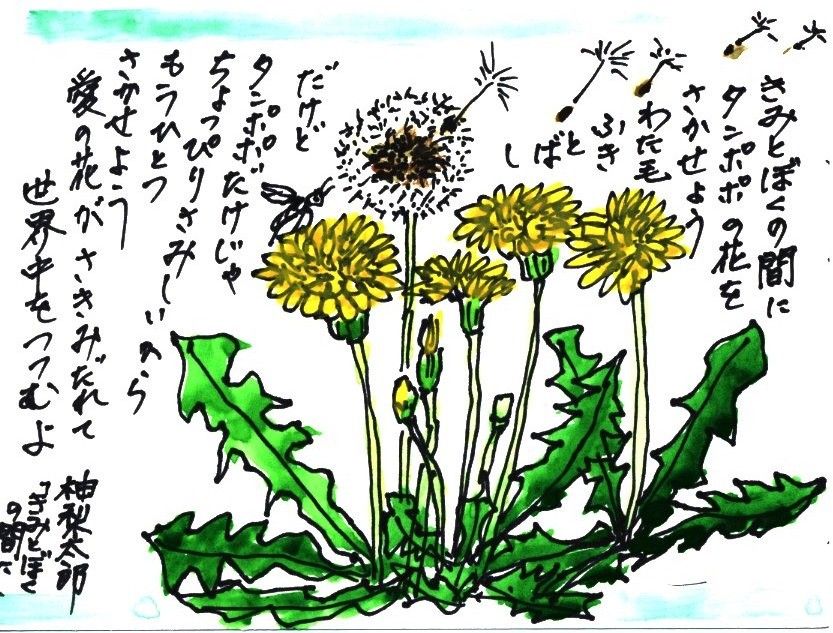花の絵手紙38 39 40 41 42 43 44 45 Terao713のblog 花の絵手紙38 39 40 41 42 43 44 45 Terao713のblog