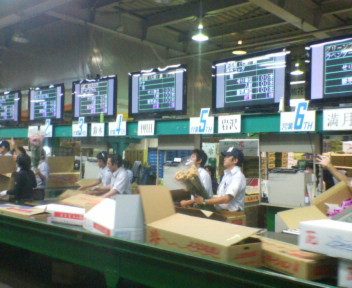 札幌花き園芸 花畑日記 フラワーガーデン寺尾