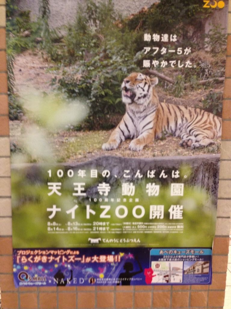天王寺動物園の ナイトzoo も今日８月１６日まで 寺りんの乗り物大好きblog