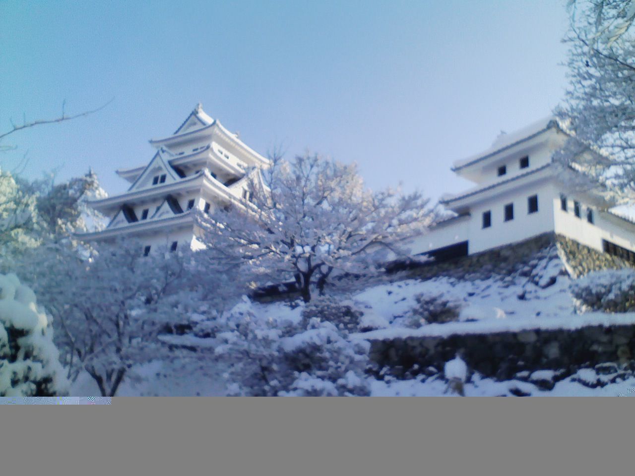 2つのガンの発見に至るまで てらさんの 新しい世界