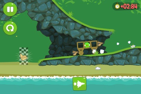 birds18