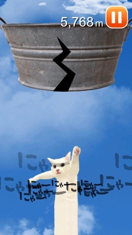 nobineko_r_06