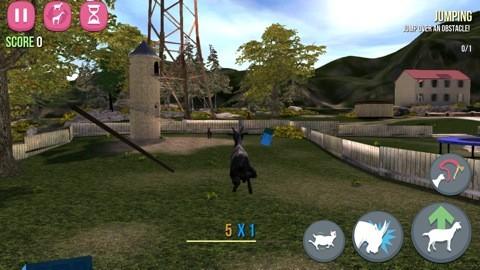 goat01