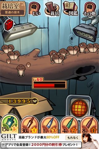 dxnameko03