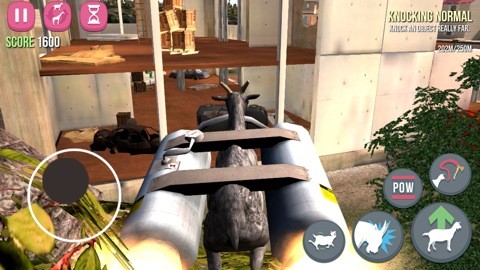 goat_s4