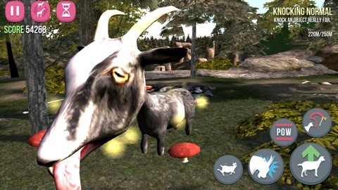 goat03