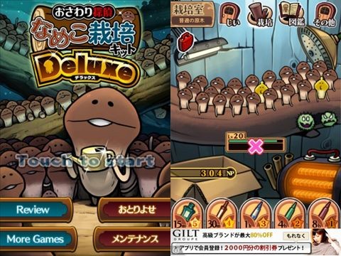 カビ なめこ 大 なめこ栽培キットとカビの話