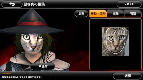 neko19