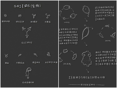plankton02