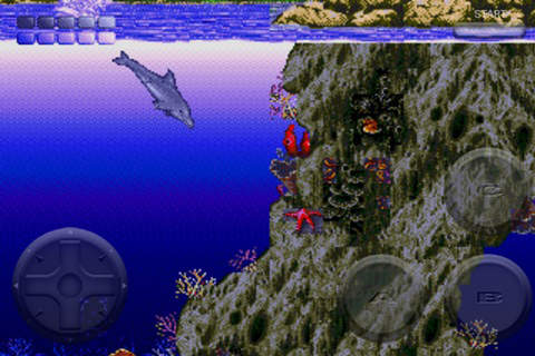 screen480x480