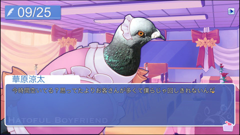 hatoful-8