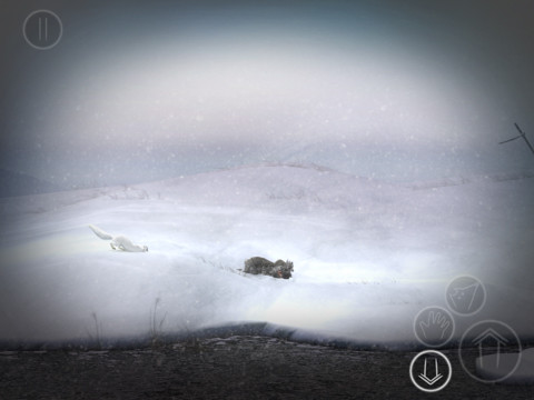 nevar_1