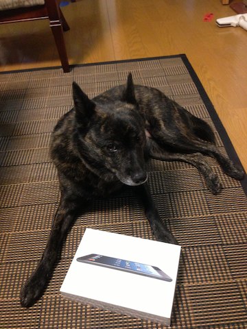 ipadmini3