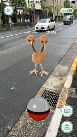 pokego-2