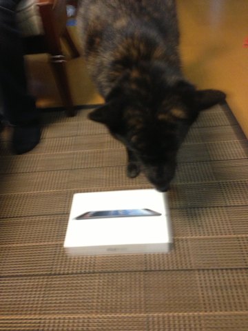 ipadmini4