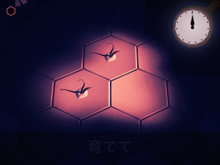 everr-2