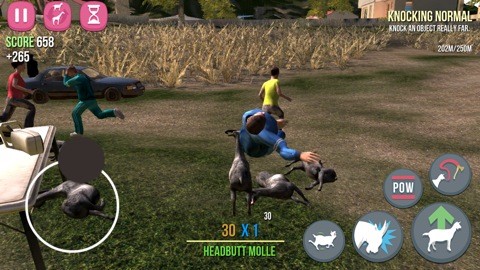 goat_s3