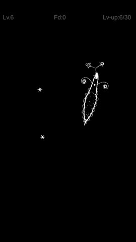 plankrr_7