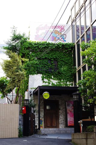 segakawa5 (1)