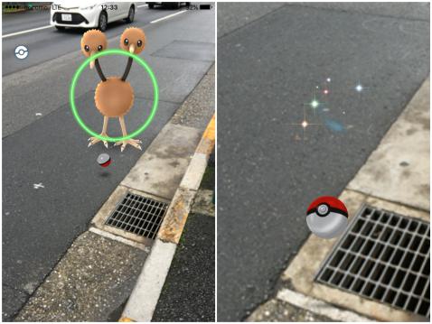 pokego