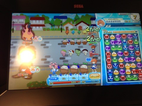 puyo11