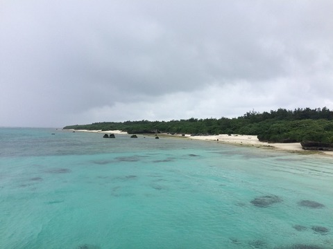 高穴海ヒキ800