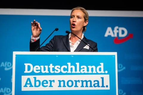 Weidel ＆Aber normal650