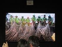 トルコ館網漁30%