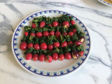 ラデッシュ味噌漬けヒキ650