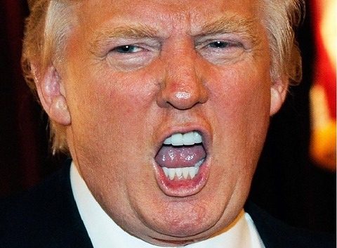 叫ぶトランプ切り取り650