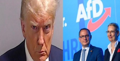 トランプ+AfD合成