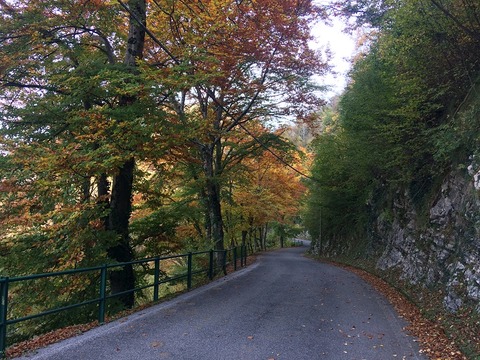 山荘への道2021-10月800