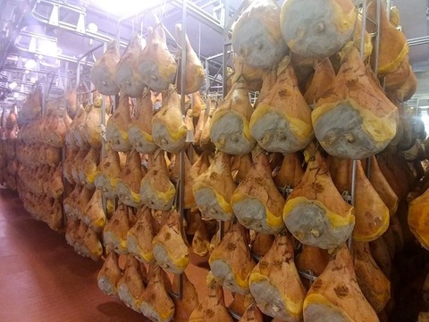 熟成中のパルマハム650