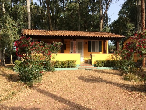 我が家中ヒキ800