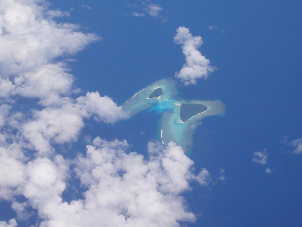 幸せになる お年玉 バタフライアイランド 大好物はファンラン